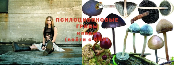 mdpv Балабаново
