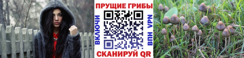 Галлюциногенные грибы мухоморы  как найти закладки  Усть-Катав 